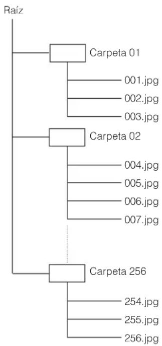 YAMAHA BD-S1900 - Estructura de las carpetas de imágenes fijas (JPEG) - 1