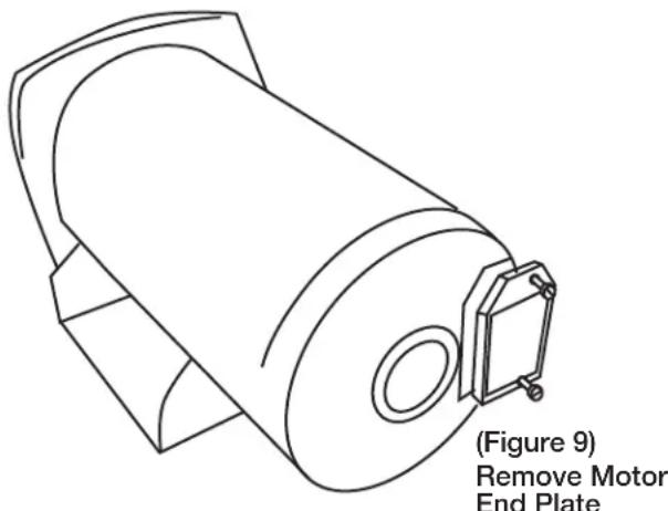 (Figure 9) Remove Motor End Plate