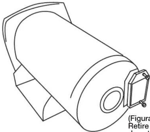 Eco-Flo Plastic Shallow Jet Pump - Riesgo de choque eléctrico. - 2