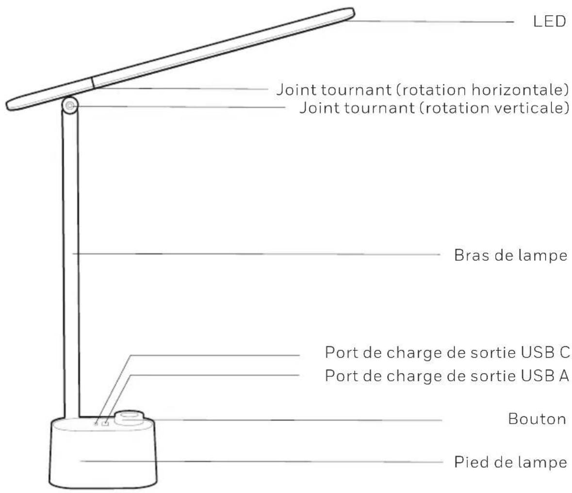 LED Joint tournant (rotation horizontale) Joint tournant (rotation verticale) Bras de lampe Port de charge de sortie USB C Port de charge de sortie USB A Bouton Pied de lampe