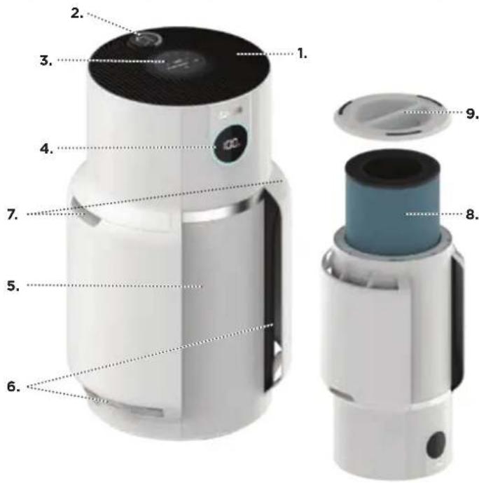 SHARK NeverChange5 HP300 - Componentes: - 1