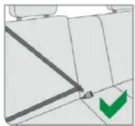 Chipolino Aura - 3