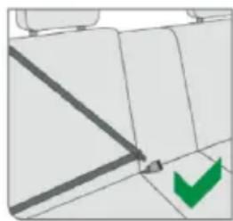 Chipolino Aura - 3