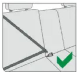Chipolino Aura - 3