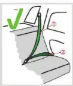Chipolino Wing - 4
