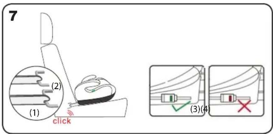 Chipolino Wing - 8