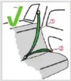 Chipolino Wing - 3
