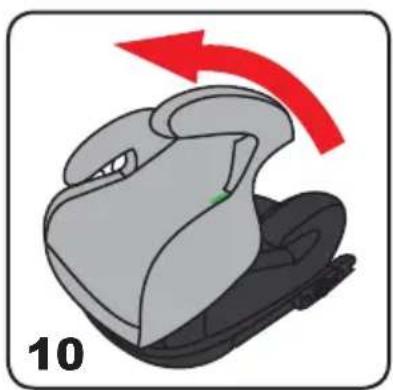 Chipolino Wing - 11