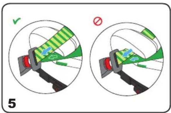 Chipolino Wing - 6
