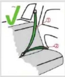 Chipolino Wing - 3