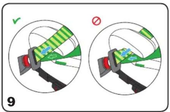 Chipolino Wing - 10