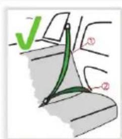 Chipolino Wing - ATTENTION! - 2