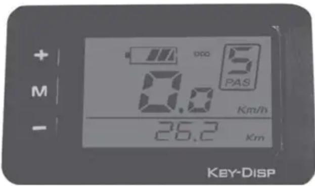BLAUPUNKT Frida (2024) - LC- KONTROLLDISPLAY - 1