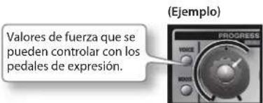 ROLAND GA-212 - Uso de los pedales de expresión - 2