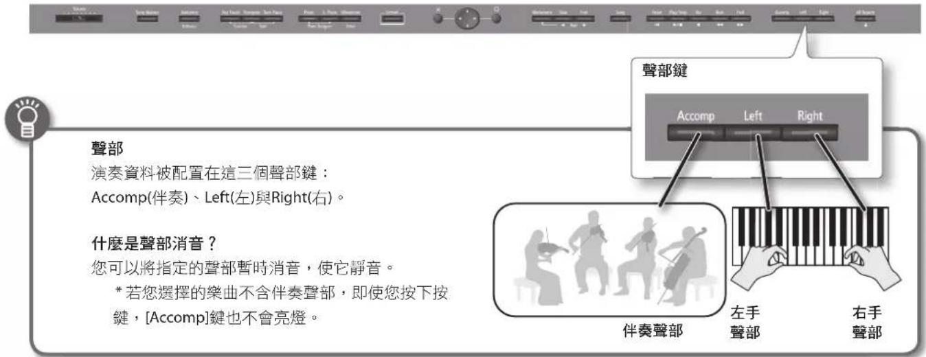 ROLAND HPi-50e - 單手練習(Part Mute) - 1