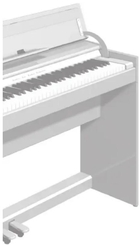 ROLAND DP90Se - 调整您的鋼琴 - 1