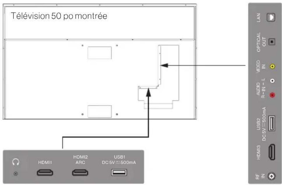 Télévision 50 po montrée LAN OPTICAL OUT AUDIO IN R-IN - L USB2 DC5V=500mA HDMI3 RF IN HDMI1 HDMI2 ARC USB1 DC5V=500mA