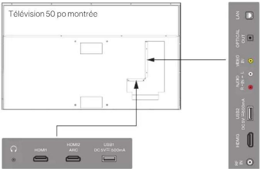 Télévision 50 po montrée LAN OPTICAL OUT VIDEO IN AUDIO R-IN - L USB2 DC 6V ≈ 500mA HDMI3 RF IN HDMI1 HDMI2 ARC USB1 DC 6V ≈ 500mA