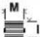 Fein WSG 15-125 PRT - bg - 3