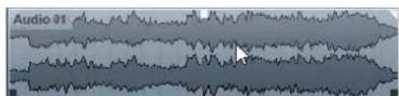 Audio 31