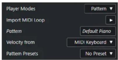 Player Modes Import MIDI Loop Pattern Default Piano Velocity from MIDI Keyboard Pattern Presets No Preset