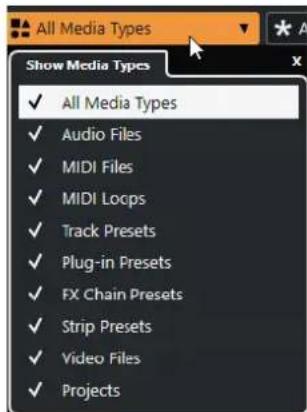 STEINBERG Cubase AI 11 - Sélecteur Afficher types de média - 1