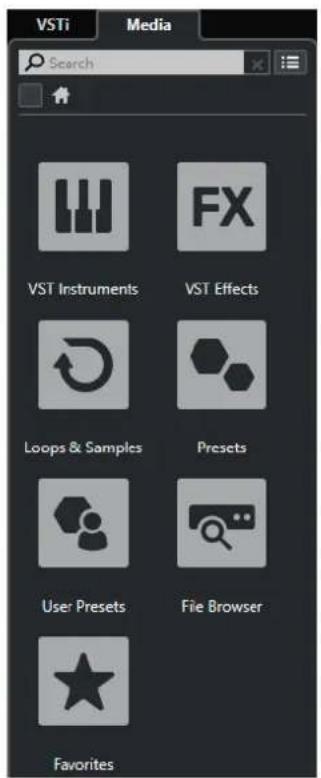 VSTi Media Search VST Instruments VST Effects Loops & Samples Presets User Presets File Browser Favorites