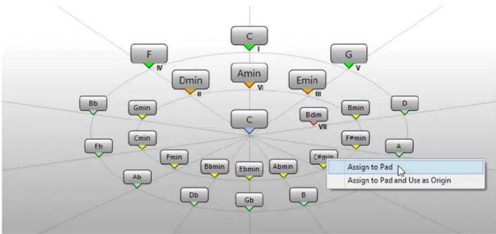 STEINBERG Cubase AI 11 - Mode Chord Assistant - Cycle des quintes - 1