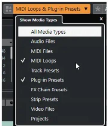 MIDI Loops & Plug-in Presets Show Media Types All Media Types Audio Files MIDI Files ✓ MIDI Loops Track Presets ✓ Plug-in Presets FX Chain Presets Strip Presets Video Files Projects