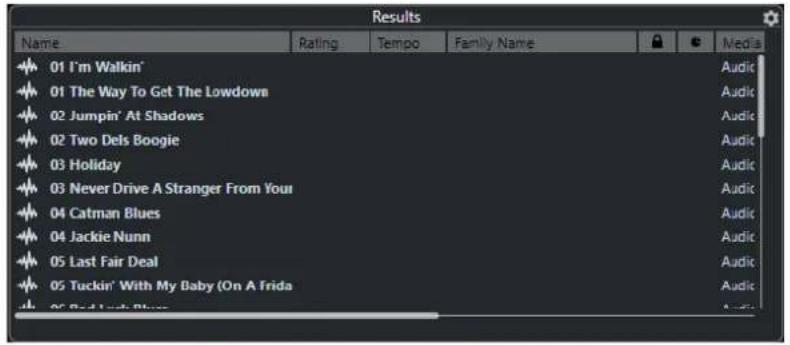 STEINBERG Cubase AI 11 - Section Résultats - 1