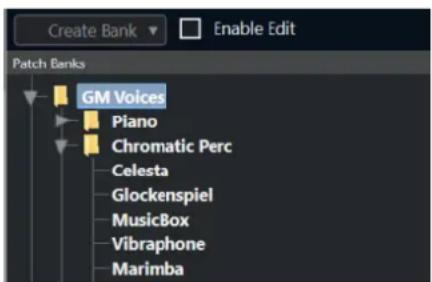 Create Bank Enable Edit Patch Banks GM Voices Piano Chromatic Perc Celesta Glockenspiel MusicBox Vibraphone Marimba