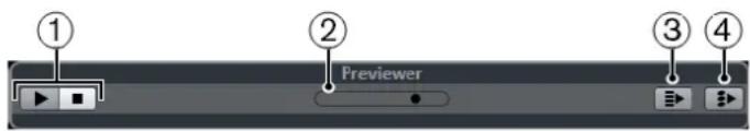 STEINBERG Cubase AI 11 - Pré-écoute de boucles MIDI - 1