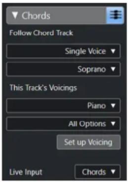 Chords Follow Chord Track Single Voice Soprano This Track's Voicings Piano All Options Set up Voicing Live Input Chords