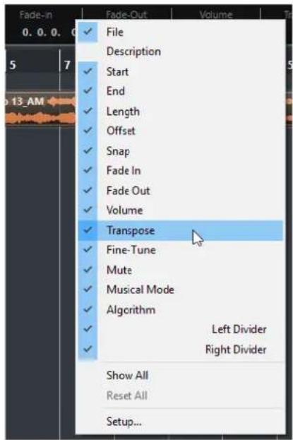 Fade-In 0. 0. 0. 0 File Description Start End Length Offset Snap Fade In Fade Out Volume Transpose Fine-Tune Mute Musical Mode Algorithm Left Divider Right Divider Show All Reset All Setup...