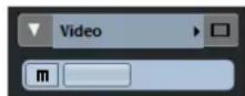 STEINBERG Cubase AI 11 - Inspecteur des pistes Vidéo - 1