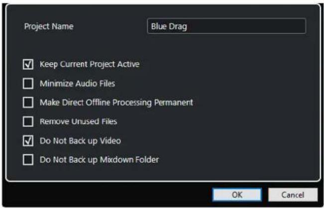 Project Name Blue Drag ✓ Keep Current Project Active ☐ Minimize Audio Files ☐ Make Direct Offline Processing Permanent ☐ Remove Unused Files ✓ Do Not Back up Video ☐ Do Not Back up Mixdown Folder OK Cancel