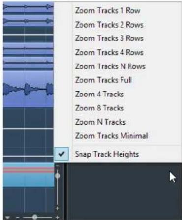 Zoom Tracks 1 Row Zoom Tracks 2 Rows Zoom Tracks 3 Rows Zoom Tracks 4 Rows Zoom Tracks N Rows Zoom Tracks Full Zoom 4 Tracks Zoom 8 Tracks Zoom N Tracks Zoom Tracks Minimal Snap Track Heights