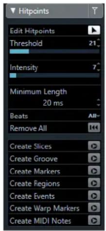 STEINBERG Cubase AI 11 - Filtres de repères de la section Repères - 1