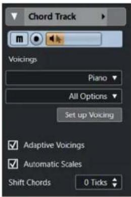 Chord Track m Voicings Piano All Options Set up Voicing ✓ Adaptive Voicings ✓ Automatic Scales Shift Chords 0 Ticks