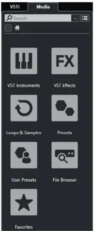 VSTi Media Search VST Instruments VST Effects Loops & Samples Presets User Presets File Browser Favorites
