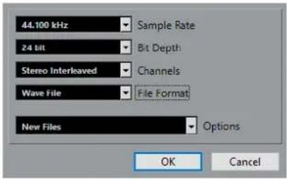 STEINBERG Cubase AI 11 - Boîte de dialogue Options de conversion - 1