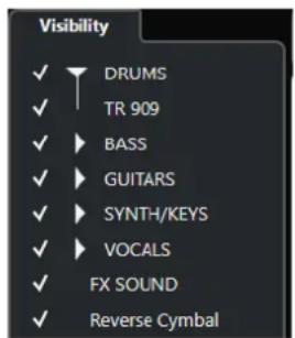 STEINBERG Cubase AI 11 - Visibilité dans la MixConsole - 1