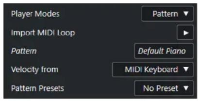 Player Modes Import MIDI Loop Pattern Default Piano Velocity from MIDI Keyboard Pattern Presets No Preset