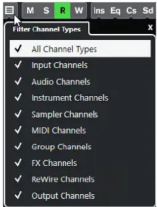 STEINBERG Cubase AI 11 - Cliquez sur Définir le filtre de type de voie. - 1