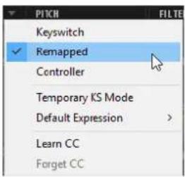 STEINBERG HALion Sonic 7 - Menu des options Expression Map - 1