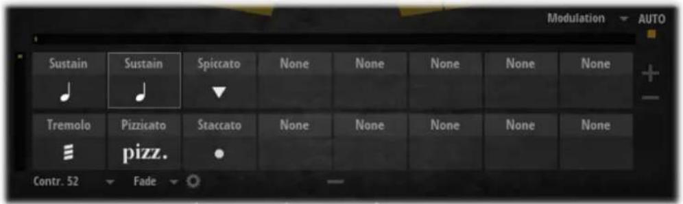 STEINBERG Iconica Ensembles - Cell Rack - 1