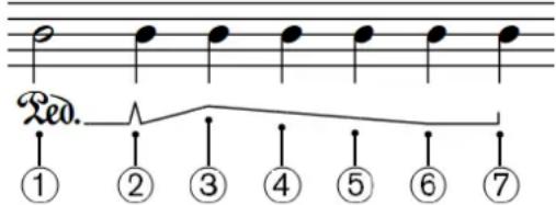 STEINBERG Dorico Elements 3.5 - À NOTER - 1
