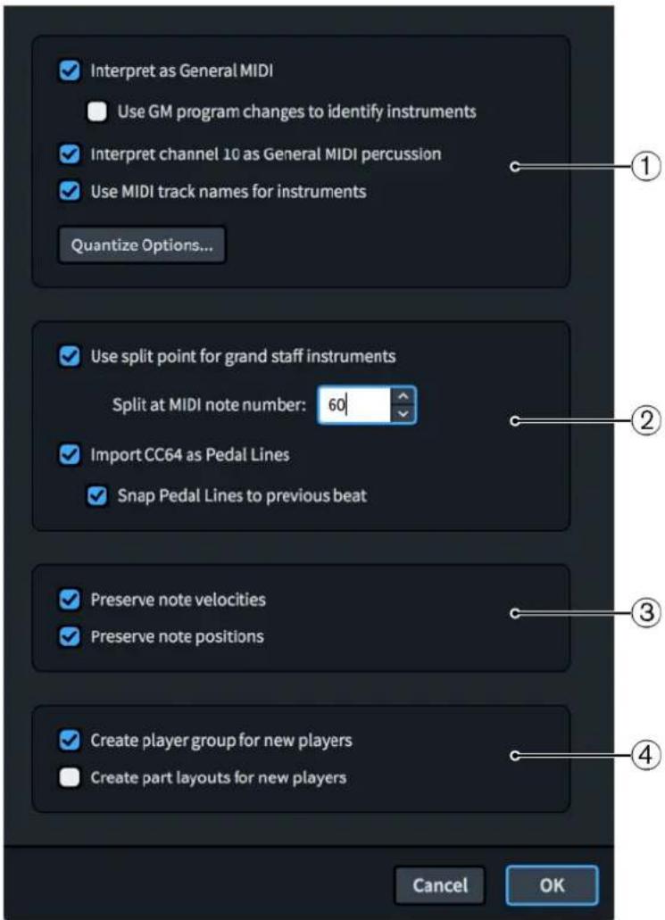 STEINBERG Dorico Elements 3.5 - Boîte de dialogue Options d'importation MIDI - 1