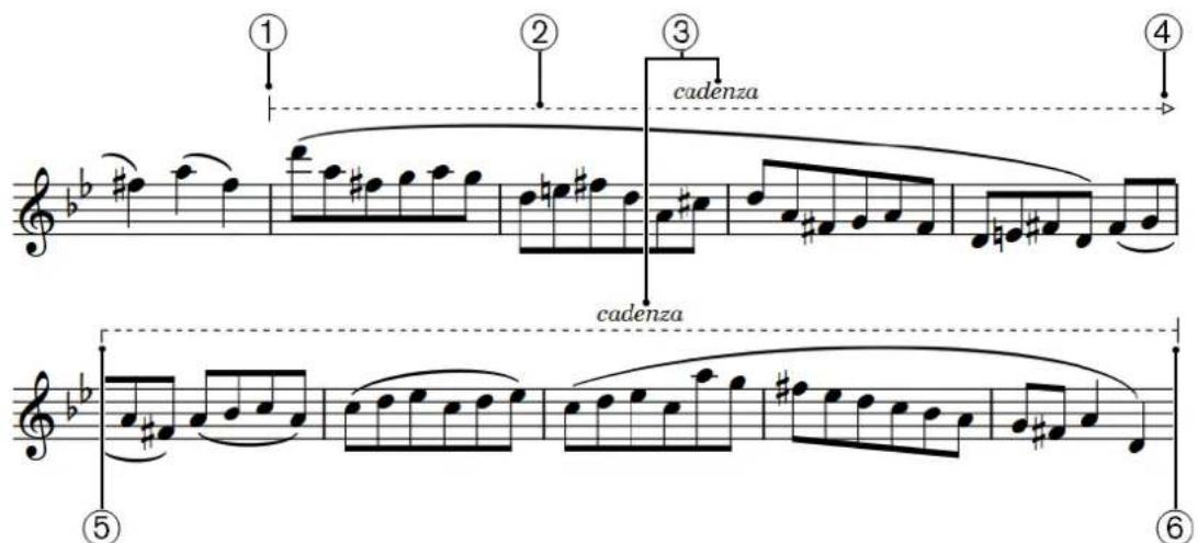 STEINBERG Dorico Elements 3.5 - Composantes des lignes - 1
