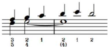 STEINBERG Dorico Elements 3.5 - Doigtés de précaution - 1